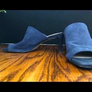 Blue Suede Shoes